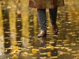 Дождь или все-таки снег? К какой погоде готовиться в Московском регионе