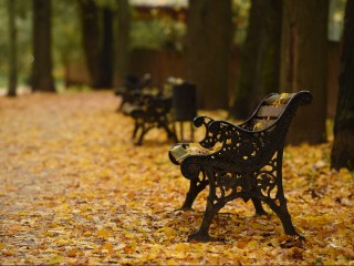 Льет, как из ведра: синоптик сказал, когда жителям Подмосковья потребуется зонтик