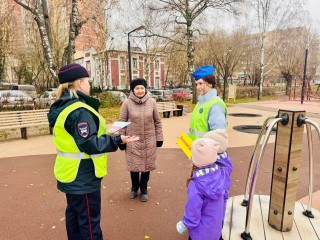 В Орехово-Зуеве пешеходам рассказали о «дорожных ловушках»