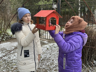 «Синичкин день»: в парке Зарайска расскажут, как помочь птицам зимой