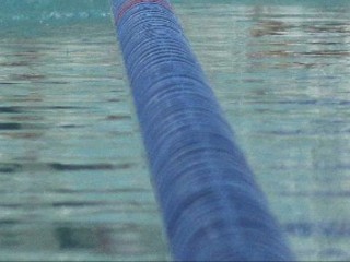 «Дворец водных видов спорта» 12 ноября на сутки закроют на санобработку