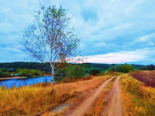 В первый день ноября Подмосковье накроет теплый циклон с сентябрьской погодой