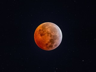 Бобровая Луна в Подмосковье: опубликовано фото самого яркого спутника Земли