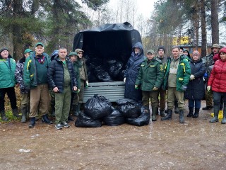 Серпуховичи очистили лес от 2,5 кубометра мусора у деревни Борисово