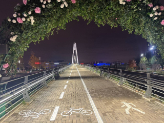 Жители могут решить судьбу разметки моста в Павшинской пойме