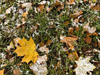 Когда выпадет снег в Сергиевом Посаде: синоптик назвал точные даты похолодания