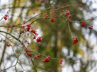 Для сельских специалистов готовят единую федеральную программу поддержки