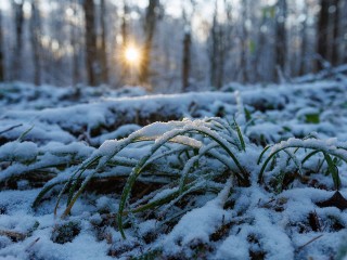 В Одинцове ожидаются сильные осадки и гололедица