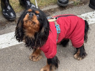 От древних ледников до курганов славян: что еще показали на новой экскурсии в Одинцове