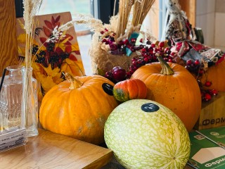 Чаепитие и сладкая вата: в Жуковском парке 9 ноября состоится «Тыква-Фест»