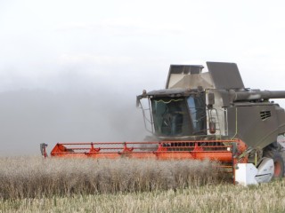 День работников сельского хозяйства торжественно отметят в Зарайске