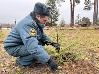 Сотрудники МЧС высадили 20 елок в Рошале во время акции «35 добрых дел»