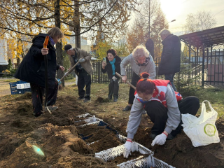 Шесть тысяч тюльпанов украсят Жуковский весной: луковицы высадили и удобрили