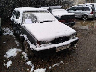 Красные, зеленые и синие «подснежники» нашли на улицах Пушкинского округа