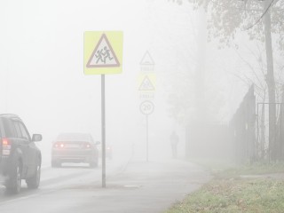 Мгла наступает: жителей Подмосковья предупредили о сильном тумане