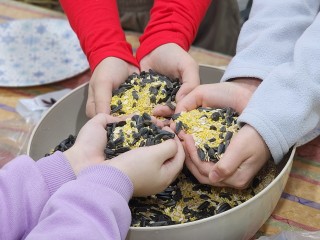 Экологические кормушки создали на мастер-классе в Свердловском парке