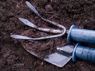 Не жди весны: какие цветы нужно сеять в мерзлую землю, и как правильно это сделать