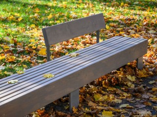 Вслед за теплыми выходными в Подмосковье придет похолодание