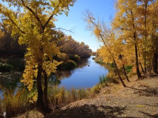 В конце недели москвичей ждет неожиданный подарок — летнее тепло вернется в ноябре
