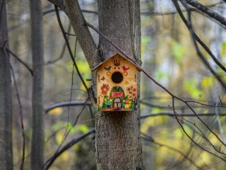 Жителей Подмосковья ждет необычайно теплый день