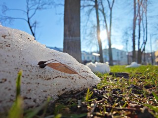 Метеорологическая весна 2026 придет в Подмосковье раньше обычного срока, уже в марте