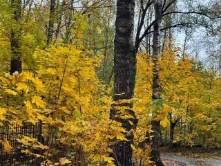 В парке Сераксеево откроют новую зону с животными