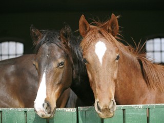 Главные события 28 ноября: праздники, кто родился и что произошло