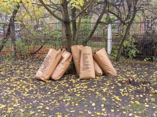 Сколько мешков опавшей листвы собрали электростальцы на осенних субботниках