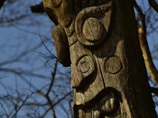 Место для жертвоприношений обнаружено в лесу под Ногинском