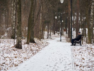 Как жители Бужарова и Лечищева могут изменить свой лесопарк