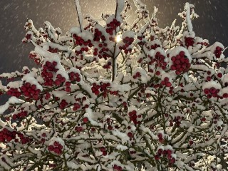 Гороскоп для всех знаков Зодиака на 1 декабря 2025: Тельцов, Раков и Стрельцов ждет вознаграждение, а Близнецам, Рыбам и Весам стоит избегать опрометчивых решений