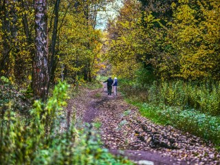 Полведра польских грибов: жительница Курилово удивила ноябрьским урожаем