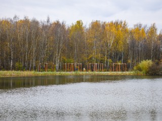 «Его обожала детвора»: в Воскресенске живодеры утопили дворнягу с камнем на шее