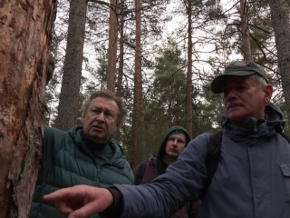 Лесопарку требуется лечение: в Дубне начинают масштабное восстановление деревьев