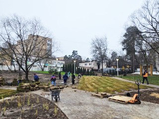 Рулонный газон сделает новую набережную Травинского озера приятным местом для прогулок