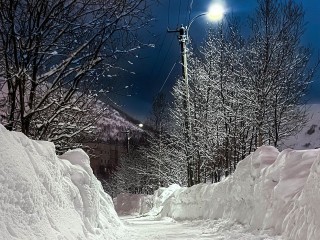 Полноценный снежный покров в Подмосковье появится не раньше декабря