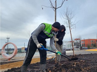 Тысячи цветов и сад из яблонь: новый сквер в Глебовском расцветет к весне