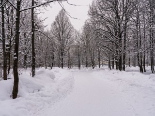 Ударят морозы и завалит снегом: синоптик Тишковец назвал точную дату прихода зимы в Подмосковье
