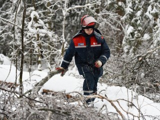 Дождь превратит Подмосковье в ледяной замок: синоптик Леус спрогнозировал опасный тип осадков