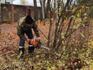 Коммунальщики завершили обрезку около 30 опасных деревьев в деревне Никитское