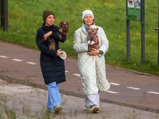 Ноябрьская сказка: синоптики обрадовали жителей Подмосковья прогнозом на выходные