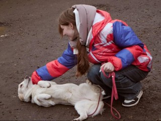 Как простые жители Солнечногорска спасают животных: молодежь удивила приют щедрым подарком