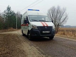 Спасатели перевезли пенсионерку домой после выписки из больницы в Серебряных Прудах