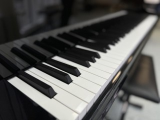 В Видном пополнен арсенал Детской школы искусств новыми инструментами