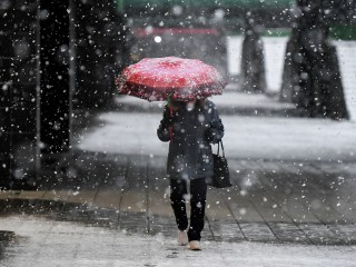 Прогноз погоды на выходные 15-16 ноября: когда ждать снег и ледяной дождь в Подмосковье