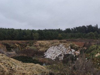 От рассады до предостережения: хроника экологического надзора в Серпухове