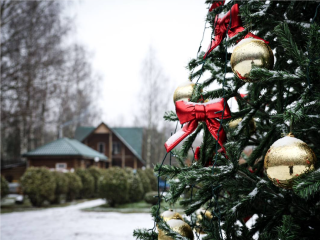 Загадать желание под звездами у новогодней елки могут гости «Лосиного острова»