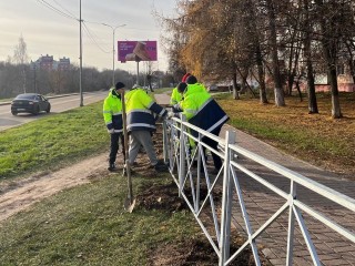 За три года в Чехове установили 72 искусственные неровности и обустроили 36 пешеходных переходов