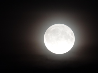 Последний шанс осени: суперлуние 5 ноября может остаться за облаками