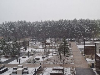 От желтого к оранжевому: как обычный снегопад в Подмосковье превратился в опасное метеоявление